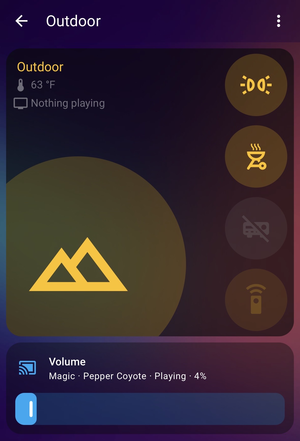 Room Audio Controls